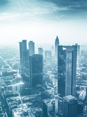 Business Consulting & Management Services